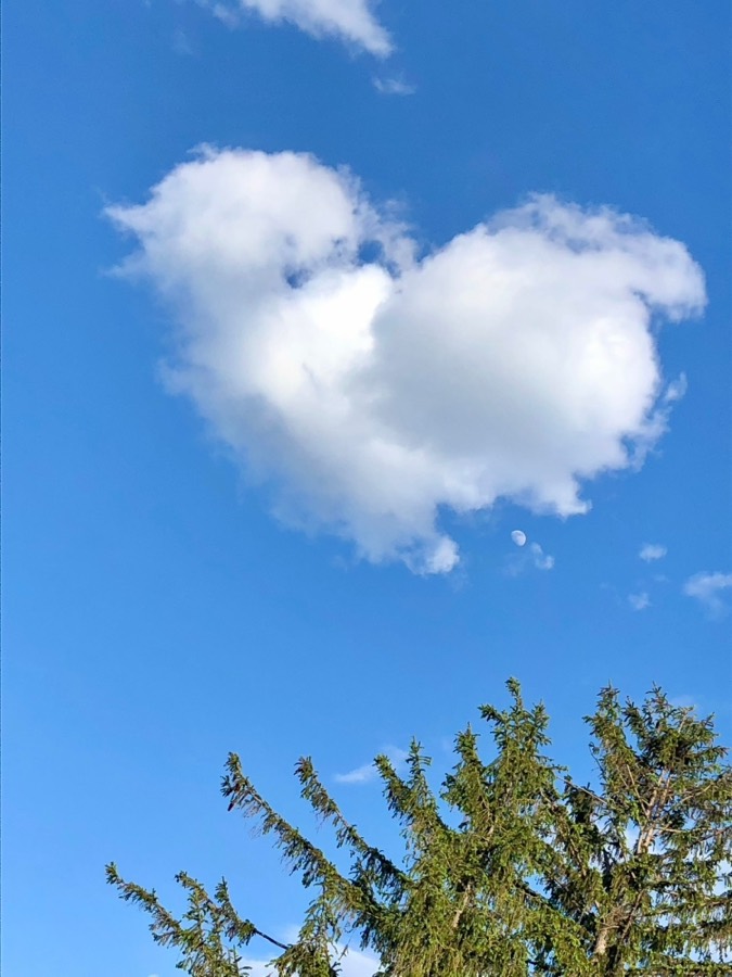 Herzförmige Wolke am blauen Himmel über Baumwipfeln